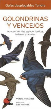GOLONDRINAS Y VENCEJOS - 9788419624574
